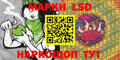 гидра Кингисепп