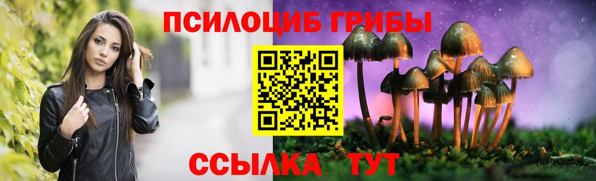 Кстово  Псилоцибиновые грибы Magic Shrooms  закладка  Псилоцибиновые грибы Cubensis  Вход с VPN 